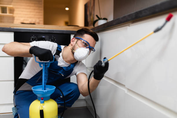 Best Pest Prevention Services  in West Tawakoni, TX