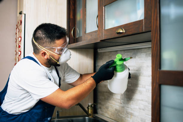 Best Termite Control Services  in West Tawakoni, TX