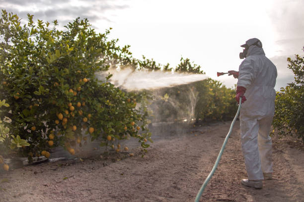 Best Residential Pest Control  in West Tawakoni, TX